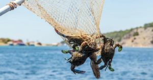 Экскурсия в Дальян из Ичмелера