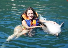 Плавание с дельфинами Мармарис