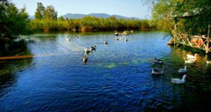 Экскурсии в Акьяку из Ичмелера