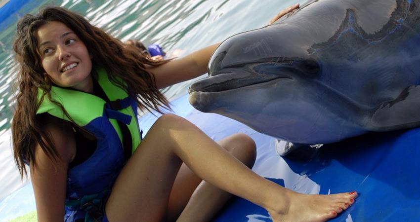 Общение с дельфинами из Ичмелера