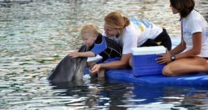 Общение с дельфинами из Ичмелера