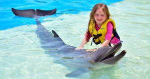 Общение с дельфинами из Ичмелера