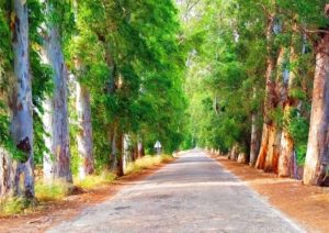 Поиск затерянного рая: Юварлак и Акьяка